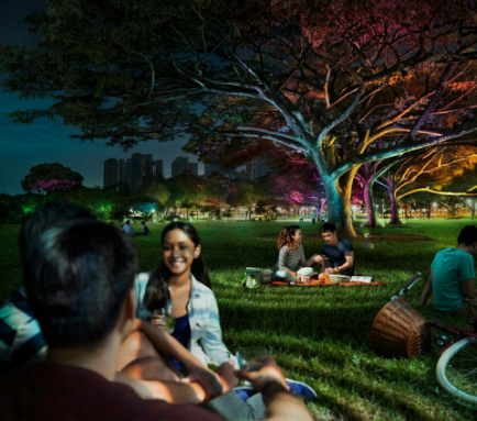 飛利浦炤明髮(fa)佈2016年報(bao)，可持(chi)續髮展業務(wu)銷售佔